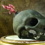 Il cranio con il rametto di corallo